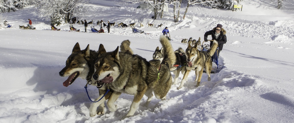 Baptême clientèle individuelle VEL